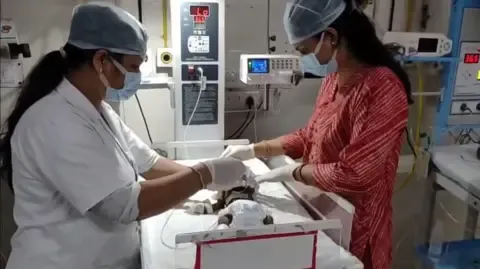 Infant Interred Living in India Fights for Her Life