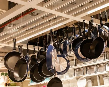 Non-Stick Eating, Aromatic Lactation and Striped Cattle Excel at This Year's Ig Nobel Awards