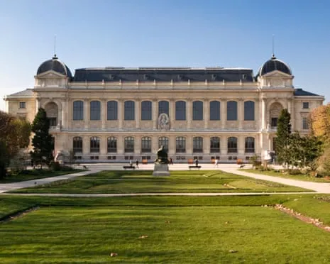 Priceless Gold Specimens Snatched in Audacious Heist at French Natural History Institution